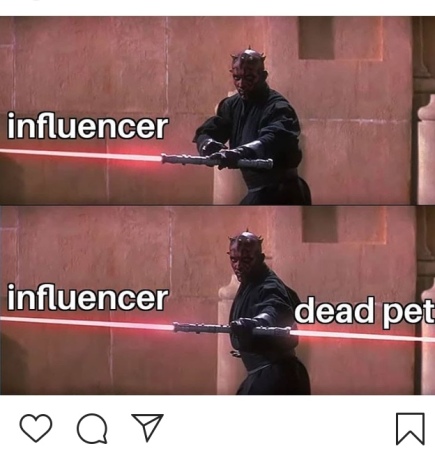IG Dead Pet Meme